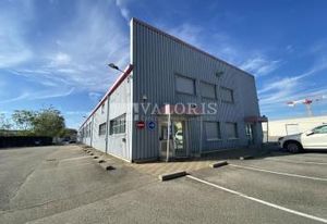Location local d'activité Chassieu - Proche A43/A46 et bus
