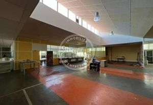 Vente locaux d'activité Toulouse Sud-Ouest - Modulables et bien équipés