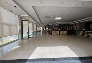 Location local commercial Torcy - Avenue de Lingenfeld