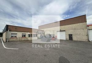 Location local commercial Toussieu - D318