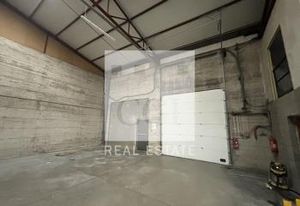Location local commercial Toussieu - D318