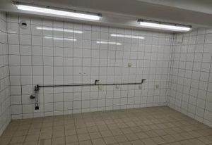 Location bureaux Tours - Quartier Prébendes, proche jardin