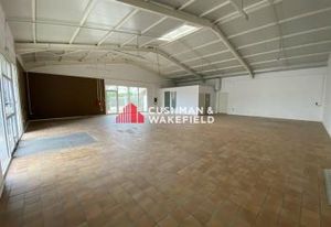 Location local commercial Toulouse - Zone Thibaud