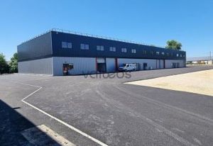 Location local d'activité Bruguières - Proche A62 Toulouse Nord