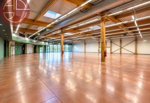 Location local commercial Portet-sur-Garonne - Zone dynamique