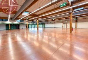Location local commercial Portet-sur-Garonne - Zone dynamique