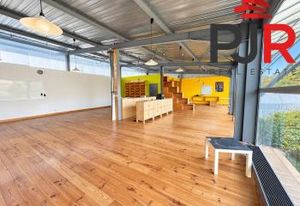 Vente immeuble professionnel Ludres - Proche Nancy et A33/A330