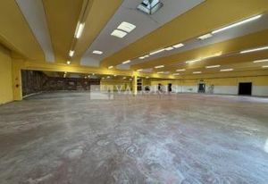 Batiment industriel à vendre Montagny - Proche A47/A46 et A7