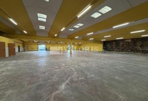 Batiment industriel à vendre Montagny - Proche A47/A46 et A7