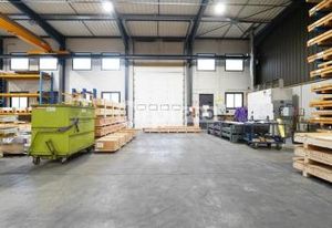 Location local d'activité Chassieu - Proche A43 et N346
