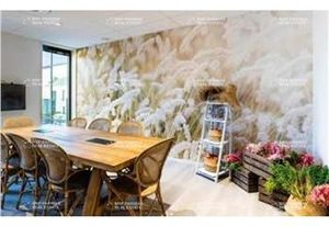 Location bureaux Genas - Proche A46 et A432