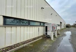 Vente local d'activité Strasbourg - Parc tertiaire de la Meinau
