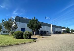 Location cellule logistique Strasbourg - Port Autonome - 5300 m²
