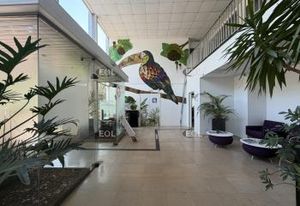 Activité/Entrepôt à vendre - 981 m²