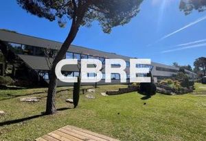 Location bureaux Sophia Antipolis - Proche autoroute A8, bus, tram et aéroport Nice