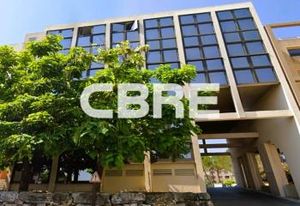 Location bureau Sophia Antipolis - Proche autoroute A8 et aéroport