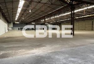 Locaux d'activité à louer La Trinité - Proximité A8 et RN2204B