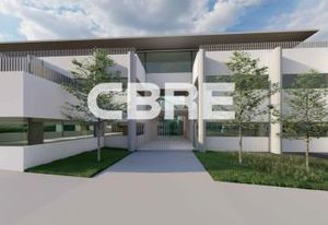 Location bureaux Sophia Antipolis - Quartier Les Lucioles, proche autoroute A8