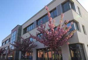 Bureaux à vendre Saint-Grégoire - Proche Rennes, Axe Rennes-St Malo