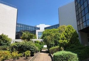 Vente bureaux Blagnac - Zone aéroportuaire, accès rocade et tram