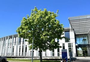 Location bureaux Toulouse Oncopole - Proche téléphérique et gare