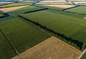 Terrain pro Boissy-sous-Saint-Yon - accès N20 et bus