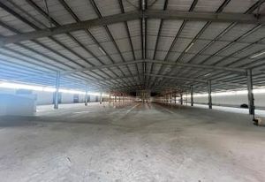Location local d'activité La Ferté-Saint-Cyr - Proche A85