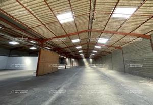 Locaux d'activité à vendre Saint-Alban - Toulouse Nord