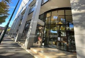 Bureaux à louer Villeurbanne - Central Parc 1