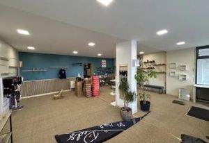 Location local commercial Le Grand-Quevilly - 1re rue commercante
