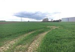 Location local d'activité Grandfresnoy - Proche A1