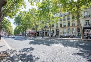Location bureaux Paris 16 - Avenue Marceau