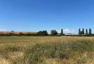 Terrain constructible 3 ha Bonson - accès A72 et A89