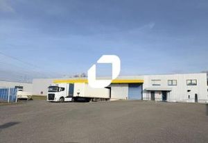 Location entrepôt Geispolsheim - Proche A35 et bus ligne 64