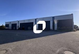Location local d'activité Mundolsheim - Proche A4