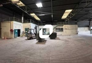Site industriel à vendre Bischwiller - Proche A4 et gare