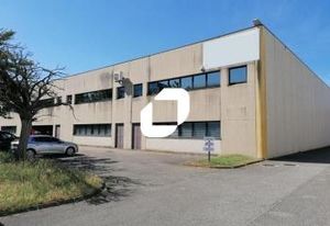 Location local d'activité Corbas - Accès A46 et A43