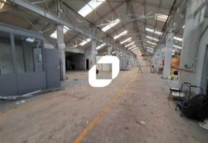 Location bâtiment indépendant Saint-André-lez-Lille - Proximité Rocade Nord Ouest