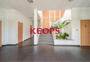 Location bureaux Toulouse - Proche périphérique et bus ligne 37