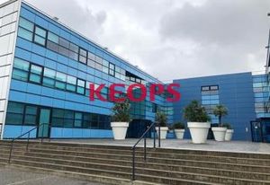 Location bureaux Toulouse - Europarc B10 - Proche rocade Arc en Ciel