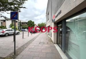 Location local commercial centre-ville Colomiers
