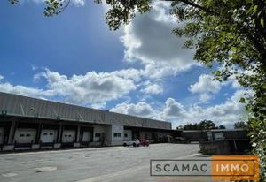 Location entrepôt frigorifique Thiais - Proche MIN de Rungis et Orly