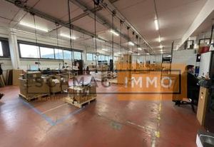Location local d'activité Saint-Thibault-des-Vignes - Nœud A104/A4