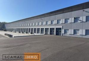 Entrepôt à louer Lisses - Proximité A6 et N104