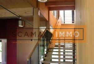 Location local d'activité Champs-sur-Marne - Proche A4 & future gare
