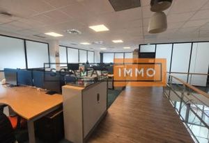 Locaux mixtes à vendre Roissy-en-France - 1378 m²