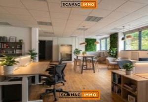 Location local mixte Les Ulis - Disponible 1er trimestre