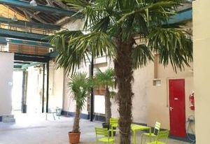 Location local d'activité Ivry-sur-Seine - Proche métro Paris