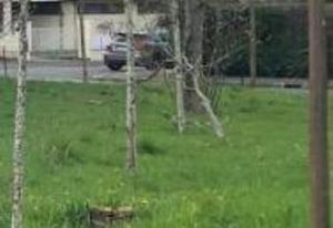 Terrain constructible Gometz-la-Ville - Proximité N118 et A10