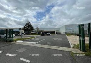 Location local d'activité avec show-room Olivet